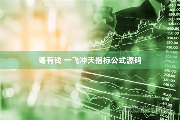 粤有钱 一飞冲天指标公式源码